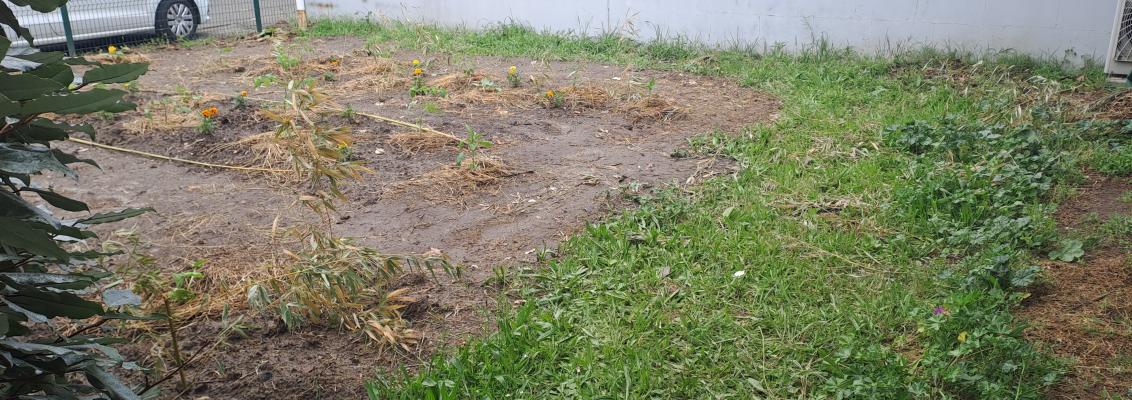 Le jardin potager