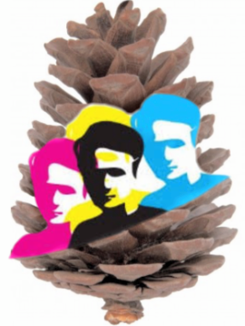 Logo du groupe de jeunes de Rion des Landes