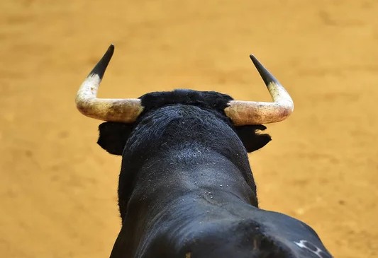 La maltraitance animale