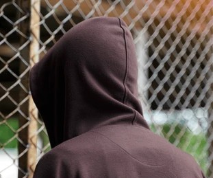 Le loup est dans la bergerie