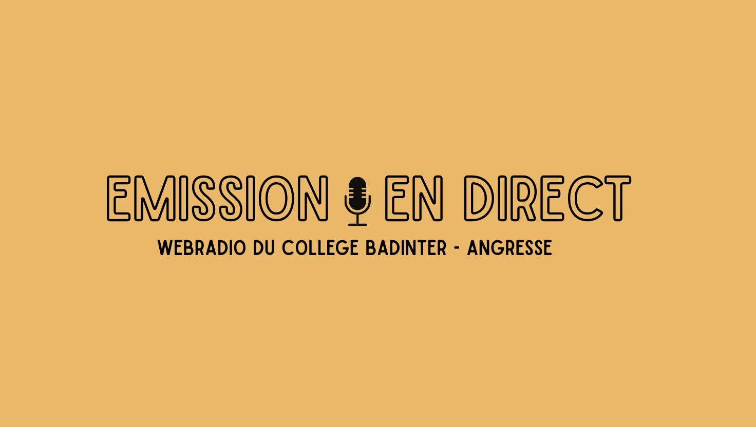webradio-du-college-badinter-angresse-684987885a81f137128443.png